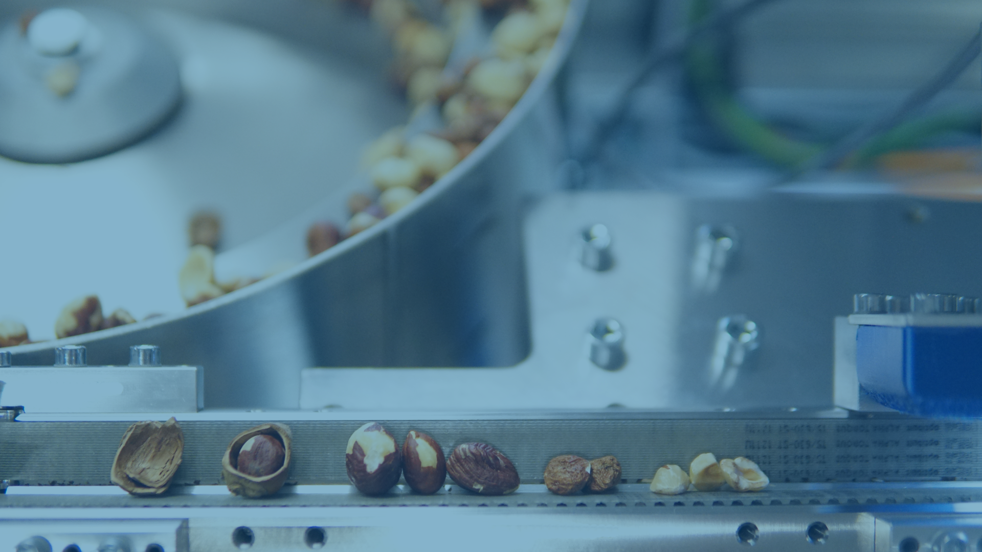 Optische Sortiertechnik